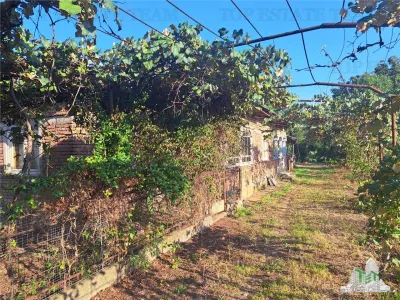 Country House with 3,579 sqm Land in Cascioarele, Giurgiu - foto 3
