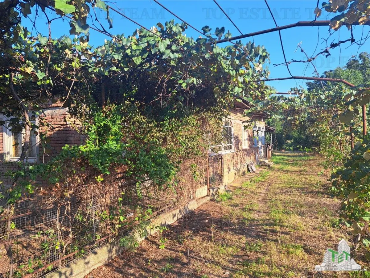 Country House with 3,579 sqm Land in Cascioarele, Giurgiu - foto 3