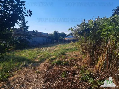 Country House with 3,579 sqm Land in Cascioarele, Giurgiu - foto 4