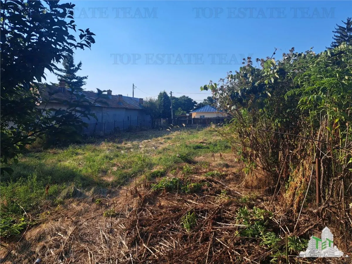 Country House with 3,579 sqm Land in Cascioarele, Giurgiu - foto 4