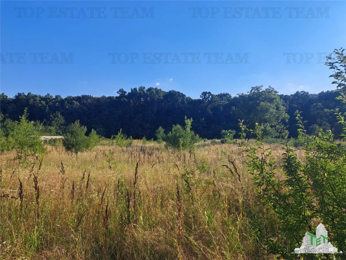Country House with 3,579 sqm Land in Cascioarele, Giurgiu - foto 5