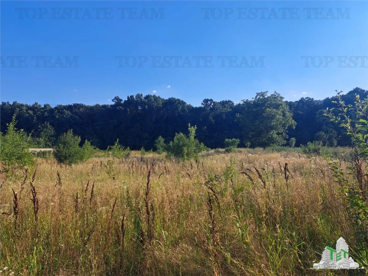Country House with 3,579 sqm Land in Cascioarele, Giurgiu - foto 6