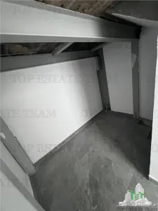 Industrial Hall, 1,024 sqm Land, 421 sqm Built, Solar Panels 46kW, Domnești - foto 25