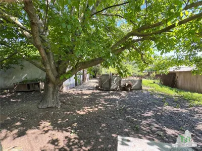 House for Sale - Movilita, Ialomita County - 2000 sqm Land, Boulevard Frontage - foto 6