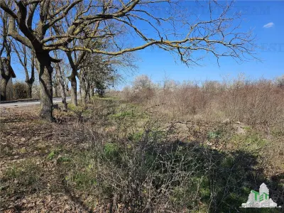 Development Land 24,100 sqm Agigea - foto 5