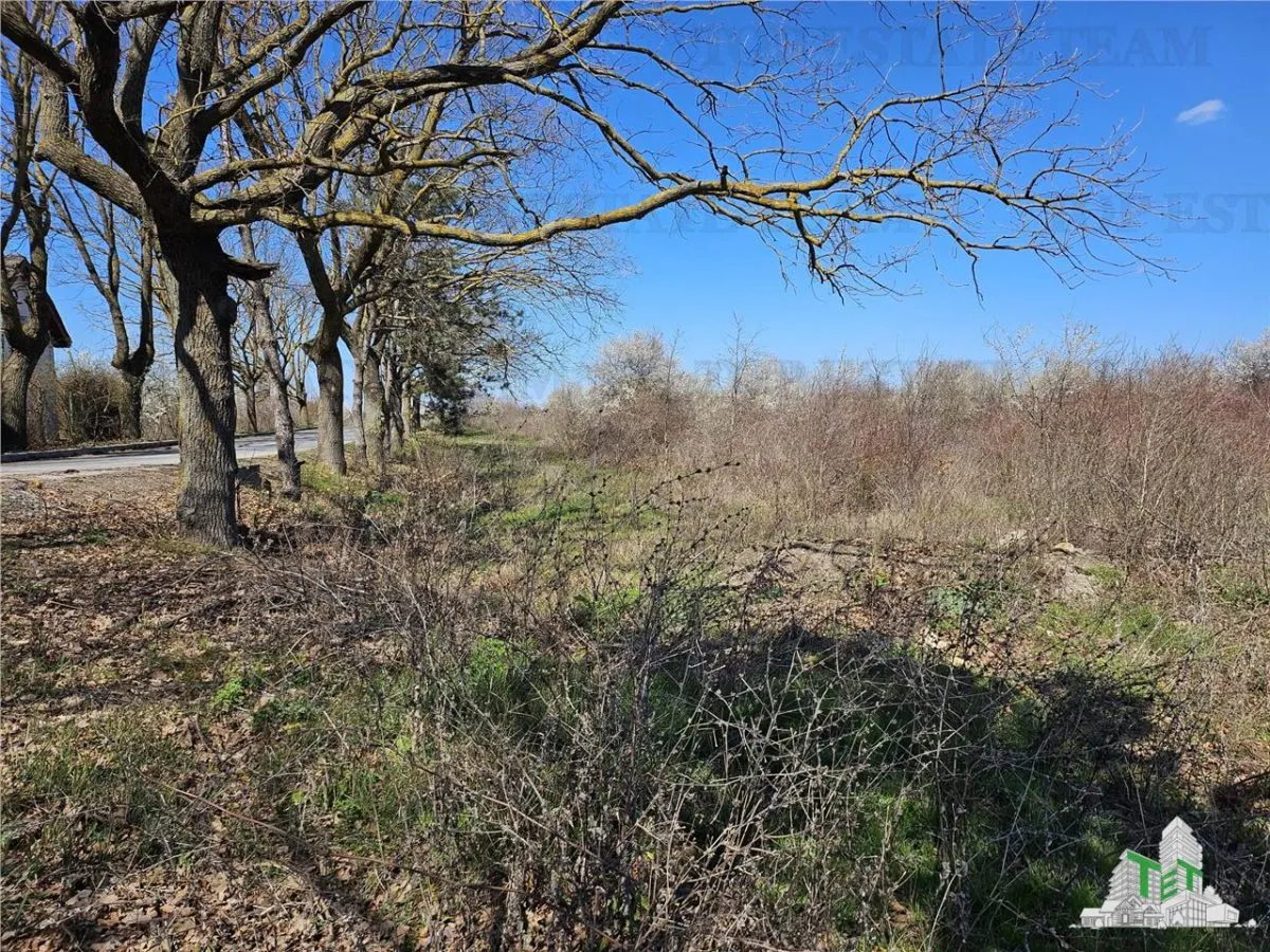 Development Land 24,100 sqm Agigea - foto 5