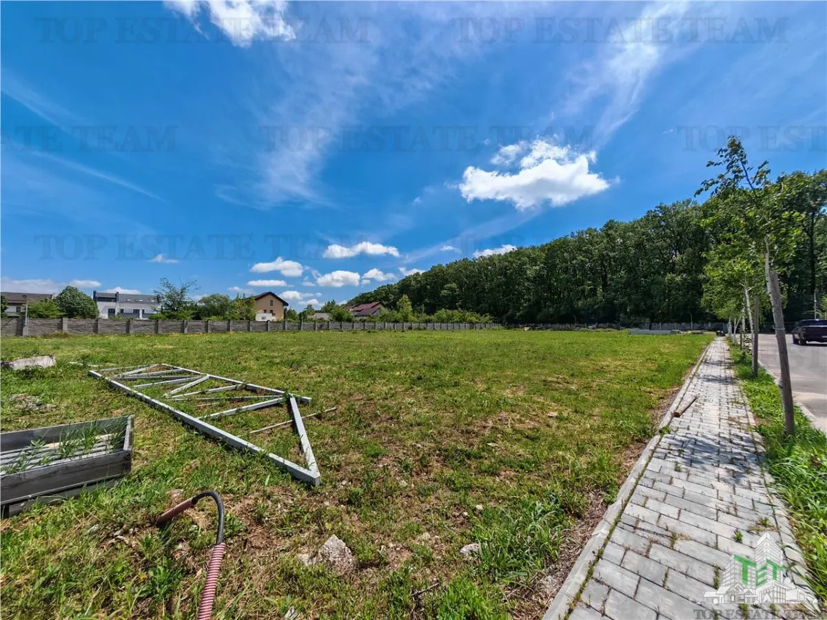 Development Land near Corbeanca Forest - foto 2
