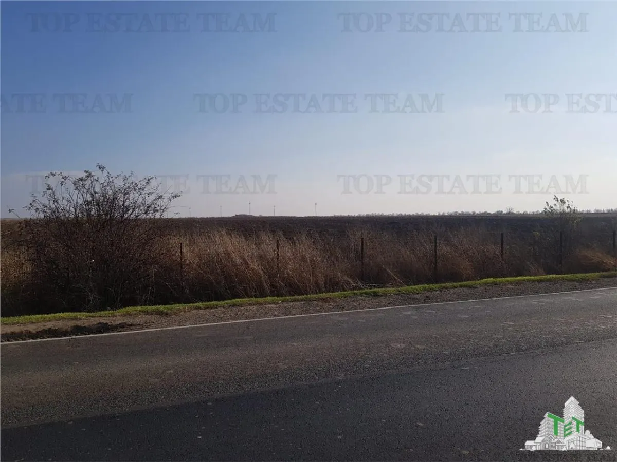Agricultural Land - Braila - E584 - For Sale - foto 1