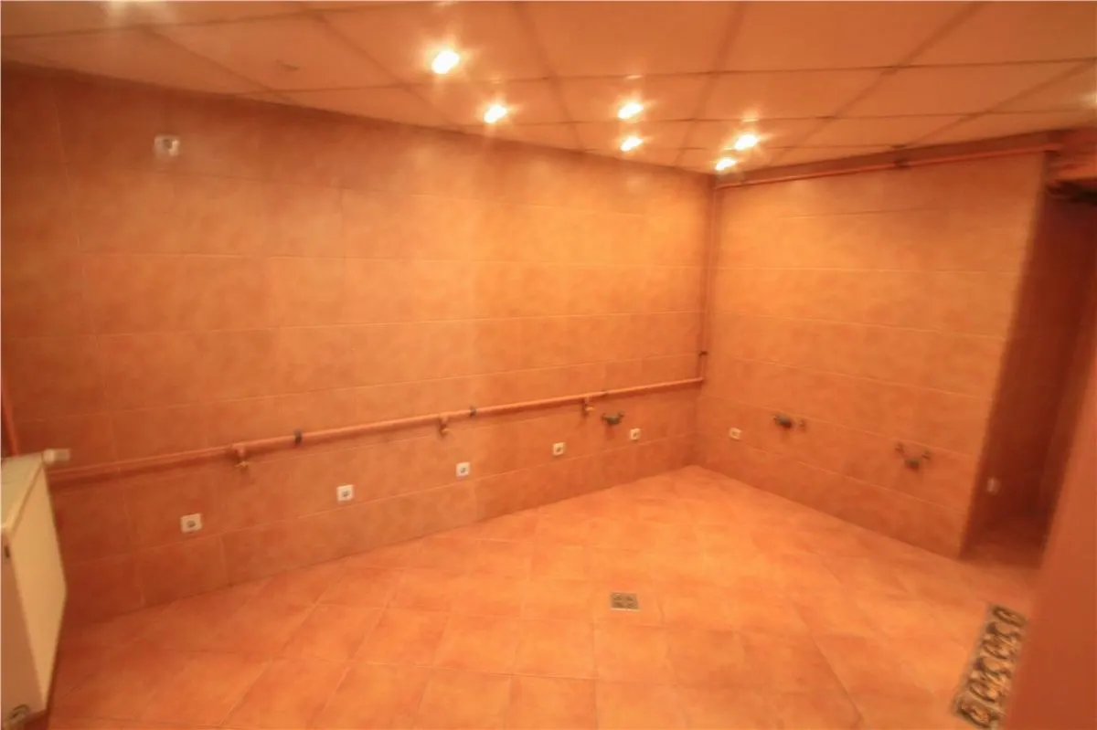 Charming Villa for Residential or Office Use, Calea Dorobanti - foto 11