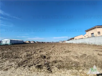Balotesti – Serviced Development Land with Full Utilities - Balotesti