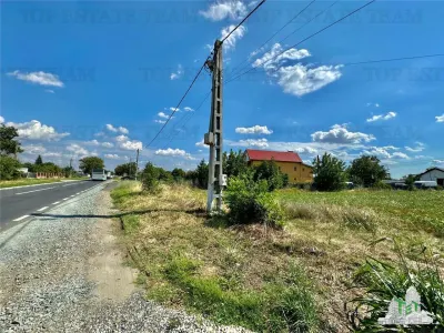 Roadside Land for Sale in Frumusani, Calarasi - foto 3