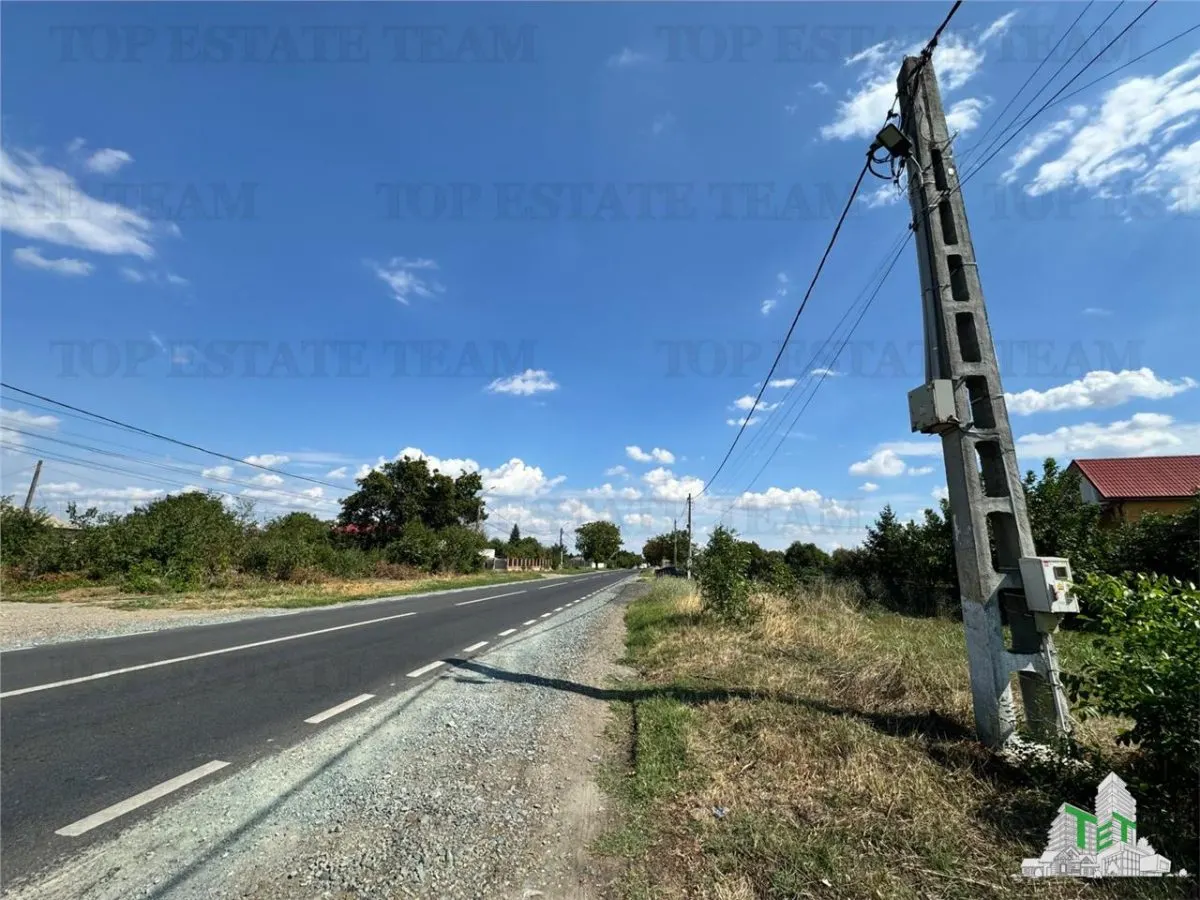 Roadside Land for Sale in Frumusani, Calarasi - foto 4