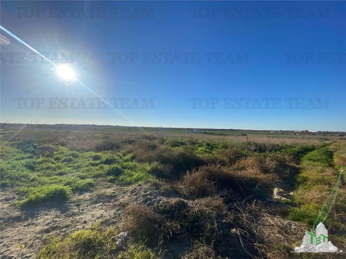 Development Land Boreal – 2,500 sqm with Planning Consent - foto 4