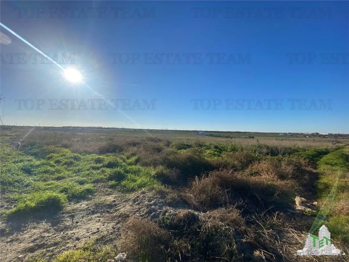 Development Land Boreal – 2,500 sqm with Planning Consent - foto 5