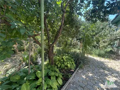 Land with House for Sale in Damaroaia - foto 12