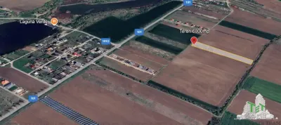 Residential Land Plot 6,000 sqm, Moara Vlasiei - Moara Vlasiei