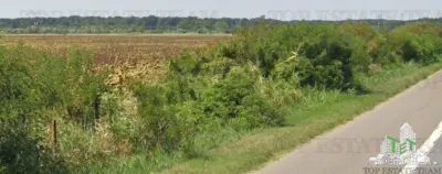 Strategic Land Plot Sale on A1 Motorway, Pitești–Bucharest Direction - Floresti-Stoenesti