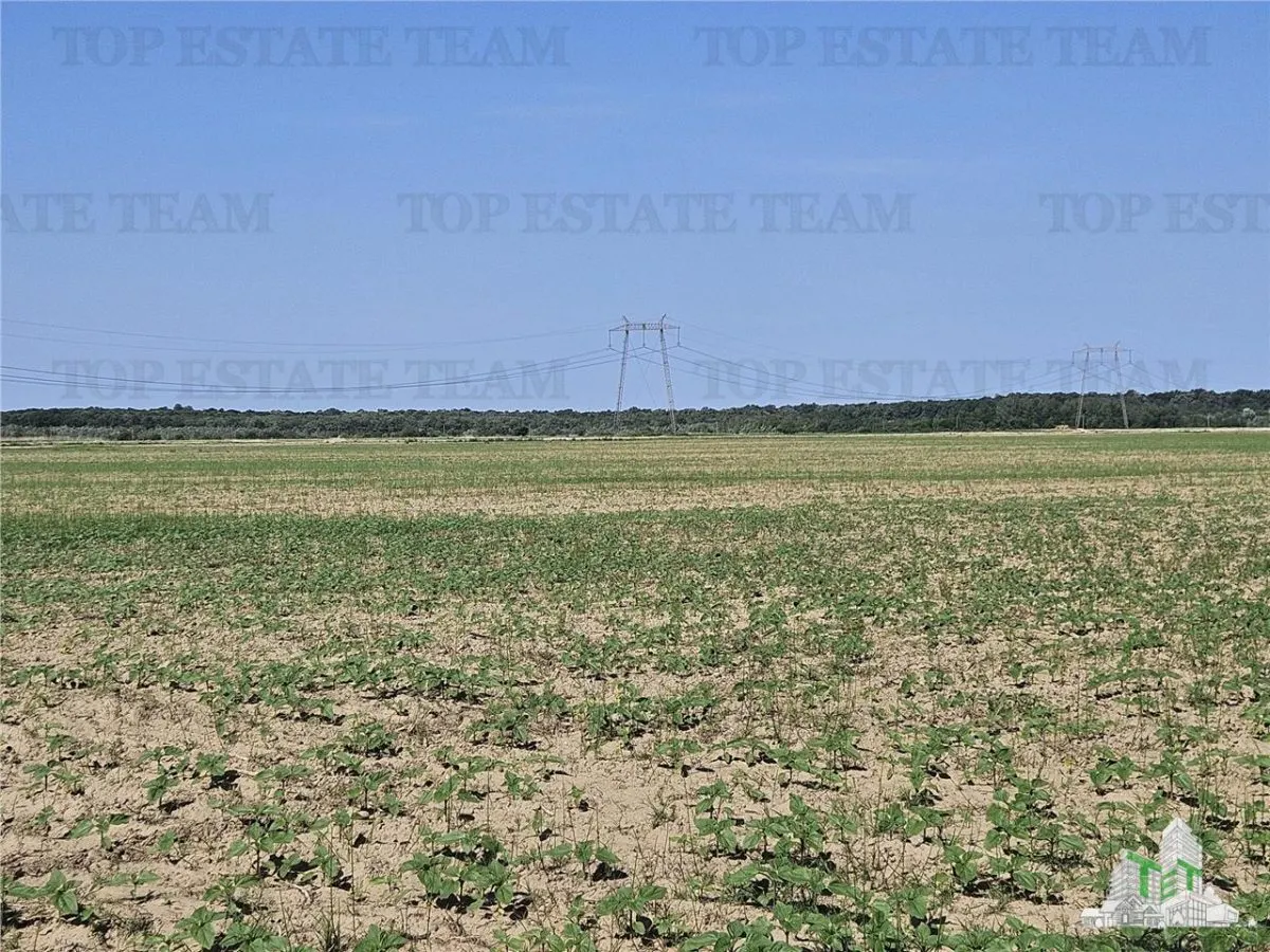 Strategic Land Plot Sale on A1 Motorway, Pitești–Bucharest Direction - foto 4