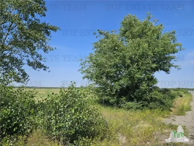 Strategic Land Plot Sale on A1 Motorway, Pitești–Bucharest Direction - foto 6