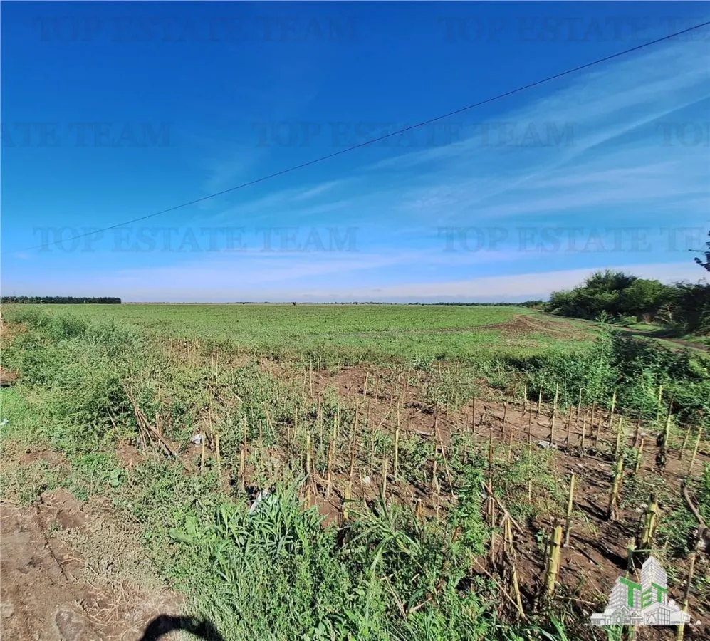 Land Plot Braila - Focsani Road - For Sale - foto 1