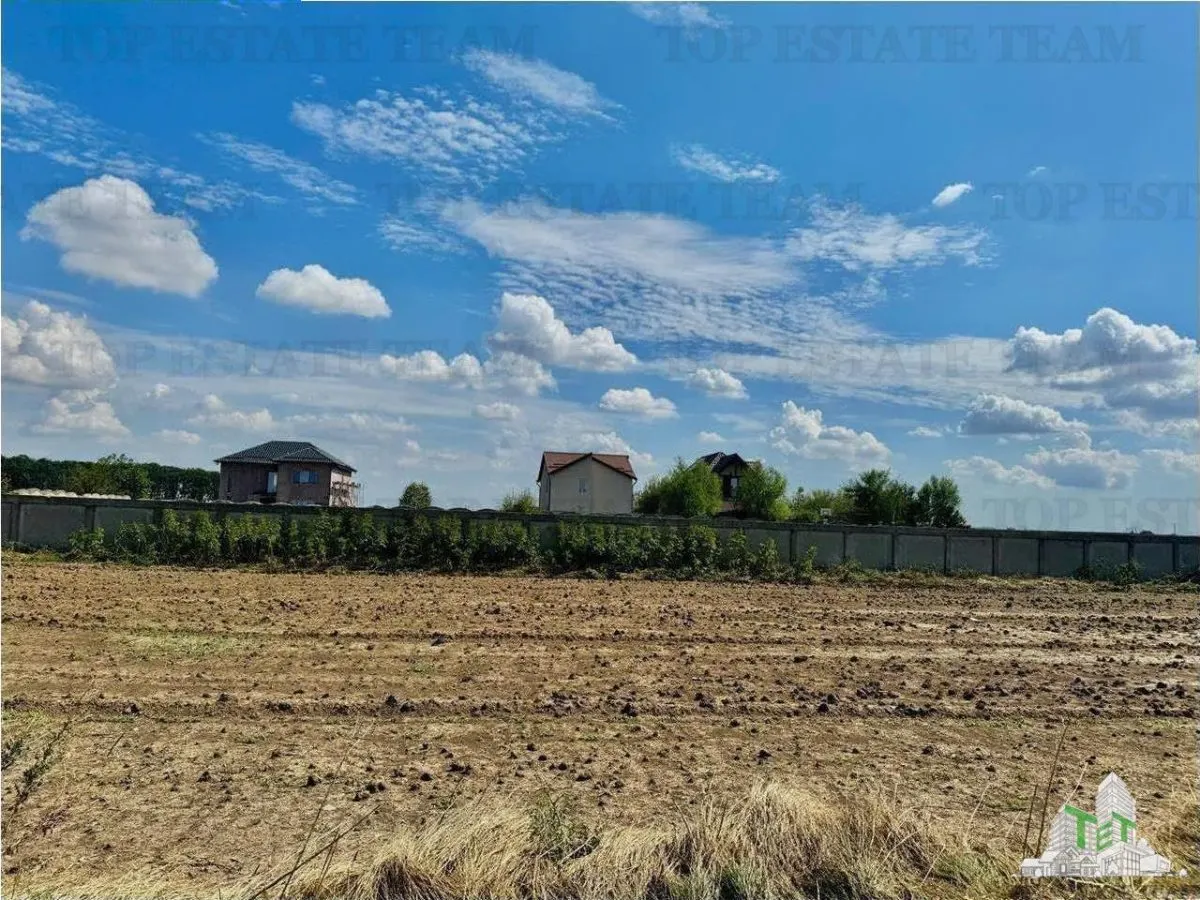 Subdivided Land Plot with Utilities near Forest in Frumusani, Calarasi - foto 1