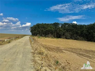 Subdivided Land Plot with Utilities near Forest in Frumusani, Calarasi - foto 2