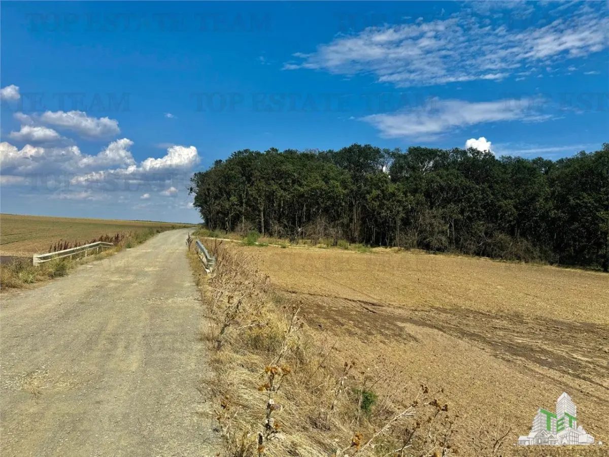 Subdivided Land Plot with Utilities near Forest in Frumusani, Calarasi - foto 2