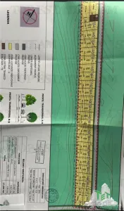 Subdivided Land Plot with Utilities near Forest in Frumusani, Calarasi - foto 3