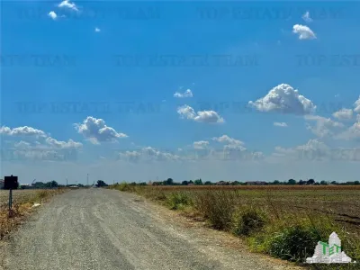 Subdivided Land Plot with Utilities near Forest in Frumusani, Calarasi - foto 4