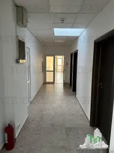 Office & Commercial Space for Rent – 360 sqm, Bd. Timisoara, Sector 6 - foto 5