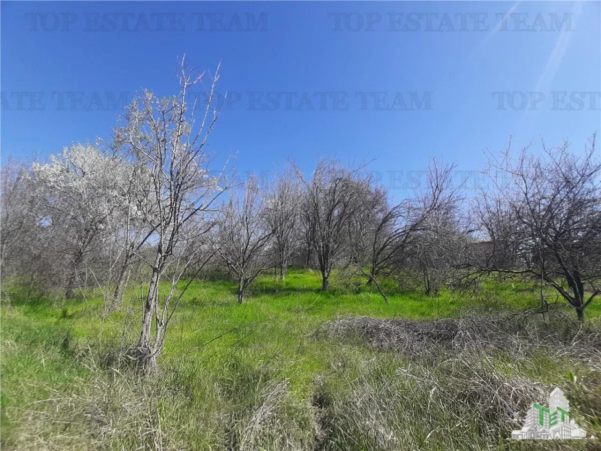 4,000 sqm Development Land with Demolition House in Bragadiru/Varteju, Magurele - foto 1
