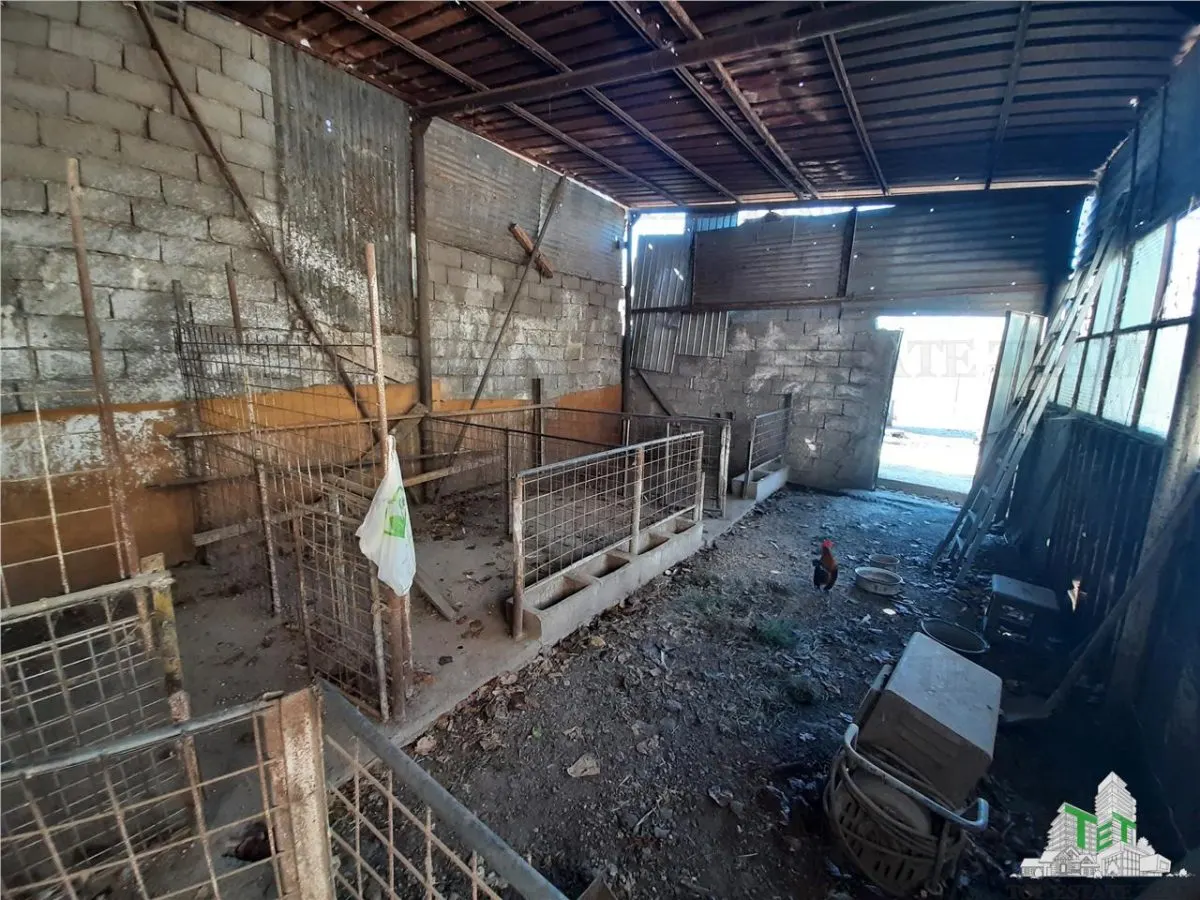 4,000 sqm Development Land with Demolition House in Bragadiru/Varteju, Magurele - foto 13