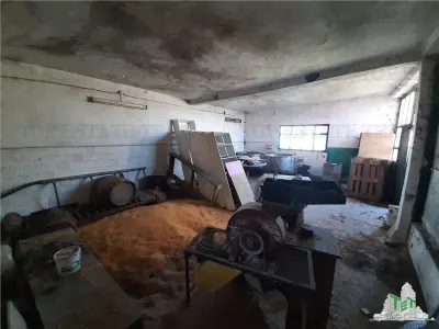 4,000 sqm Development Land with Demolition House in Bragadiru/Varteju, Magurele - foto 16