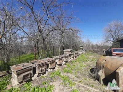 4,000 sqm Development Land with Demolition House in Bragadiru/Varteju, Magurele - foto 3