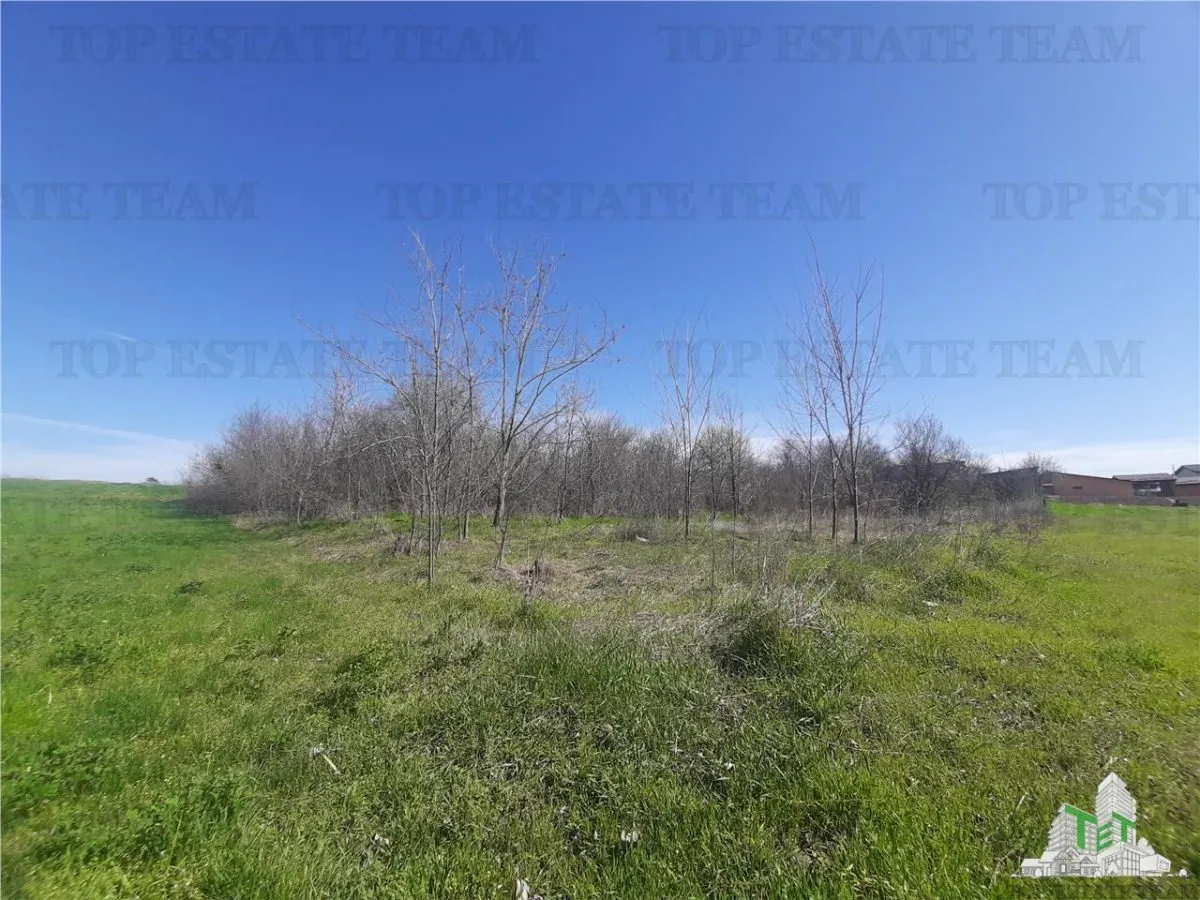 4,000 sqm Development Land with Demolition House in Bragadiru/Varteju, Magurele - foto 7