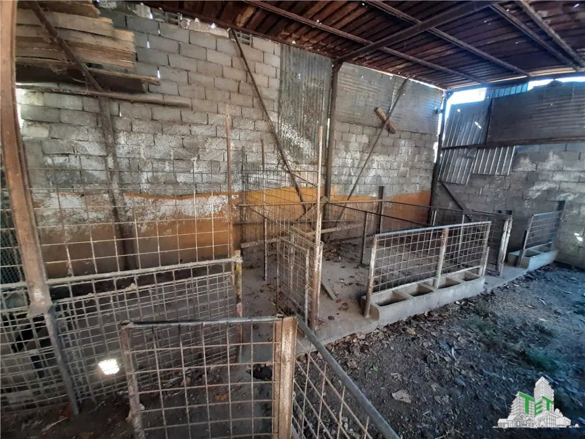 4,000 sqm Development Land with Demolition House in Bragadiru/Varteju, Magurele - foto 9