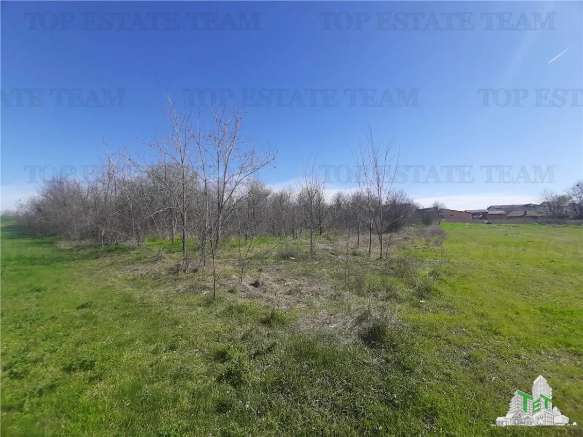 4,000 sqm Development Land with Demolition House in Bragadiru/Varteju, Magurele - foto 10
