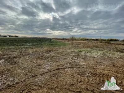 Land for Sale in Otopeni, 6,900 sqm - Otopeni
