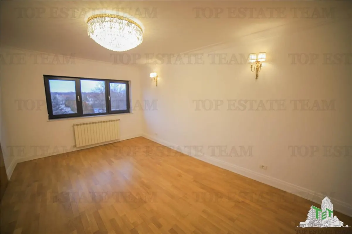 Villa Suitable for Residential or Office Use, Iancu Nicolae Boulevard - foto 14