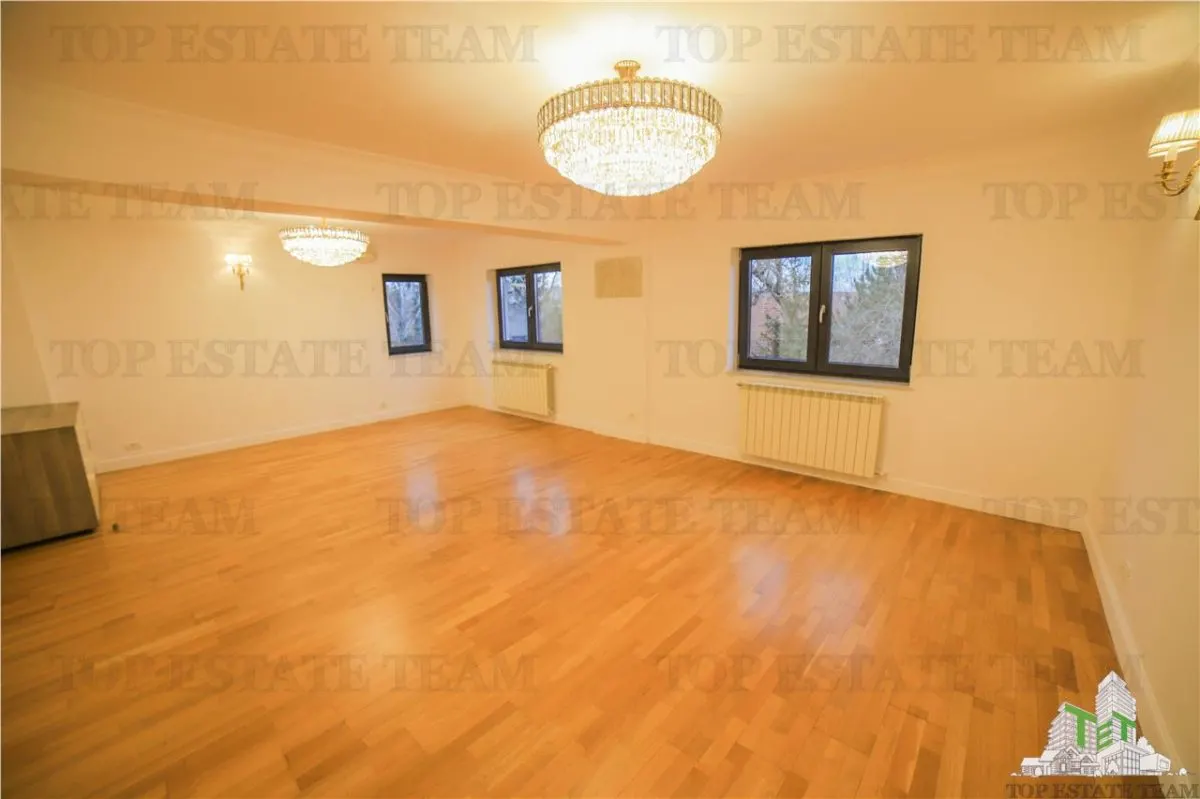 Villa Suitable for Residential or Office Use, Iancu Nicolae Boulevard - foto 17