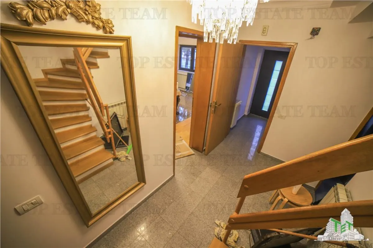 Villa Suitable for Residential or Office Use, Iancu Nicolae Boulevard - foto 23