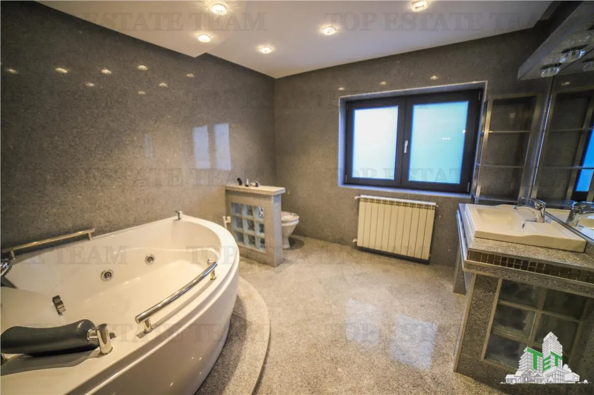 Villa Suitable for Residential or Office Use, Iancu Nicolae Boulevard - foto 10