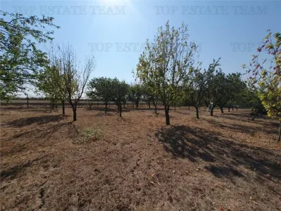 Agricultural and Building Land Plot 2 Parcel A326/49, Agigea - foto 2