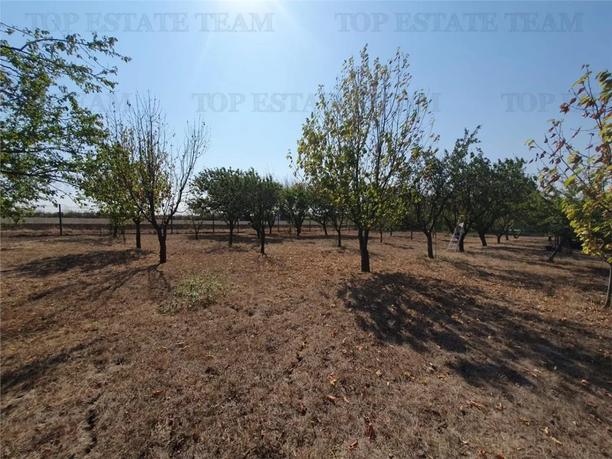 Agricultural and Building Land Plot 2 Parcel A326/49, Agigea - foto 2