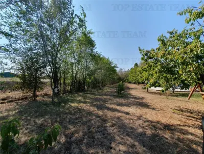 Agricultural and Building Land Plot 2 Parcel A326/49, Agigea - foto 11