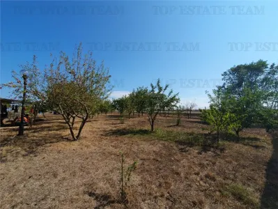 Agricultural and Building Land Plot 2 Parcel A326/49, Agigea - foto 15
