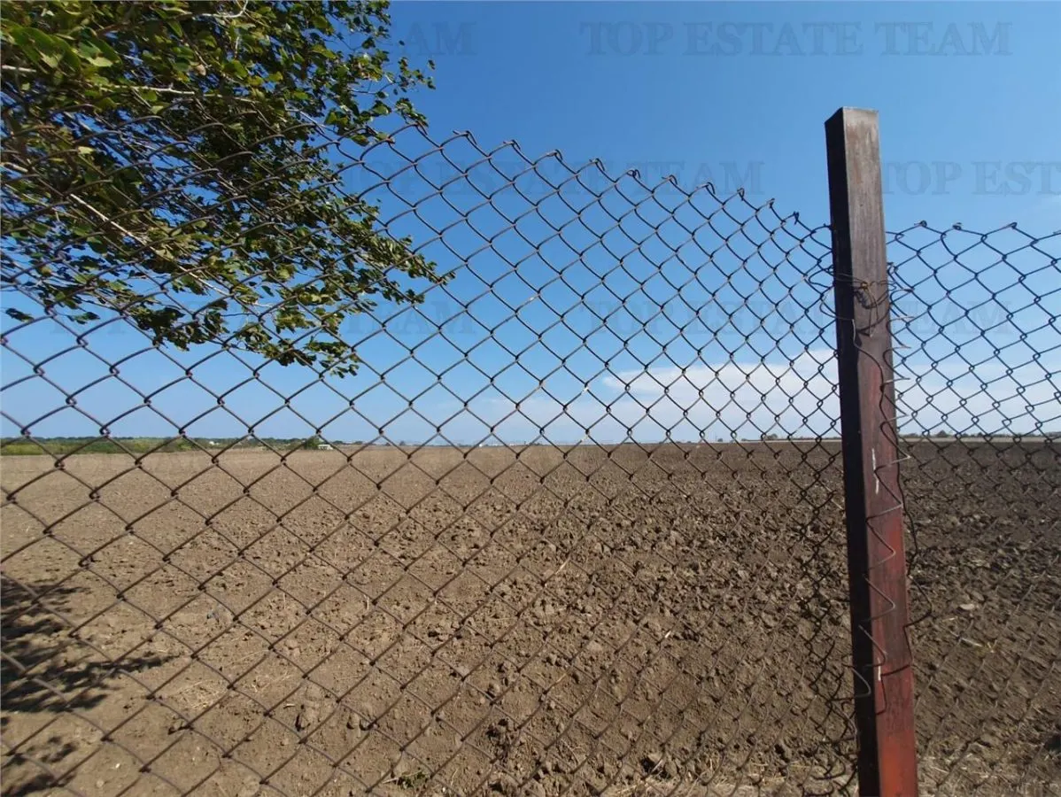 Agricultural and Building Land Plot 2 Parcel A326/49, Agigea - foto 17