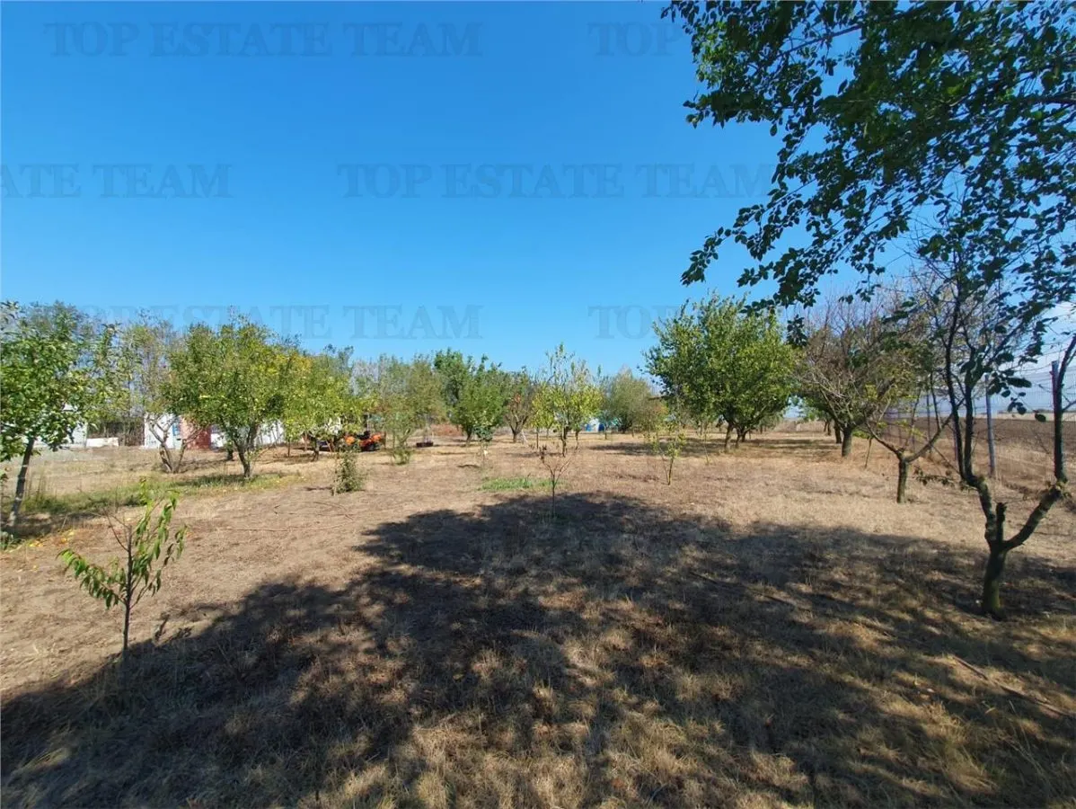 Agricultural and Building Land Plot 2 Parcel A326/49, Agigea - foto 18