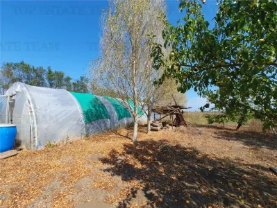 Agricultural and Building Land Plot 2 Parcel A326/49, Agigea - foto 3