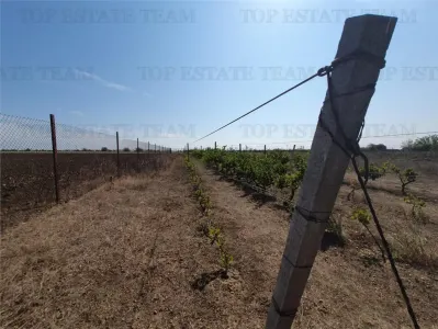 Agricultural and Building Land Plot 2 Parcel A326/49, Agigea - foto 7